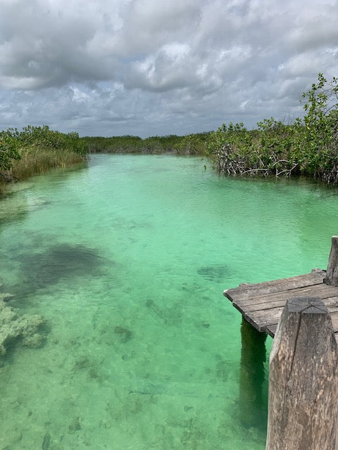 A canal in the mangrove lagoon system of the Sian Ka'an Biosphere Preserve